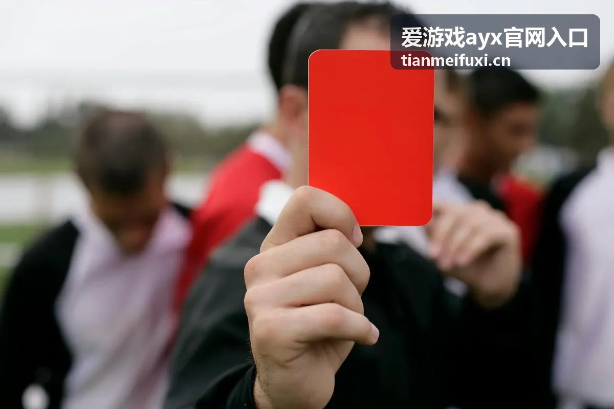 爱游戏ayx官网入口的入口接入能力展示